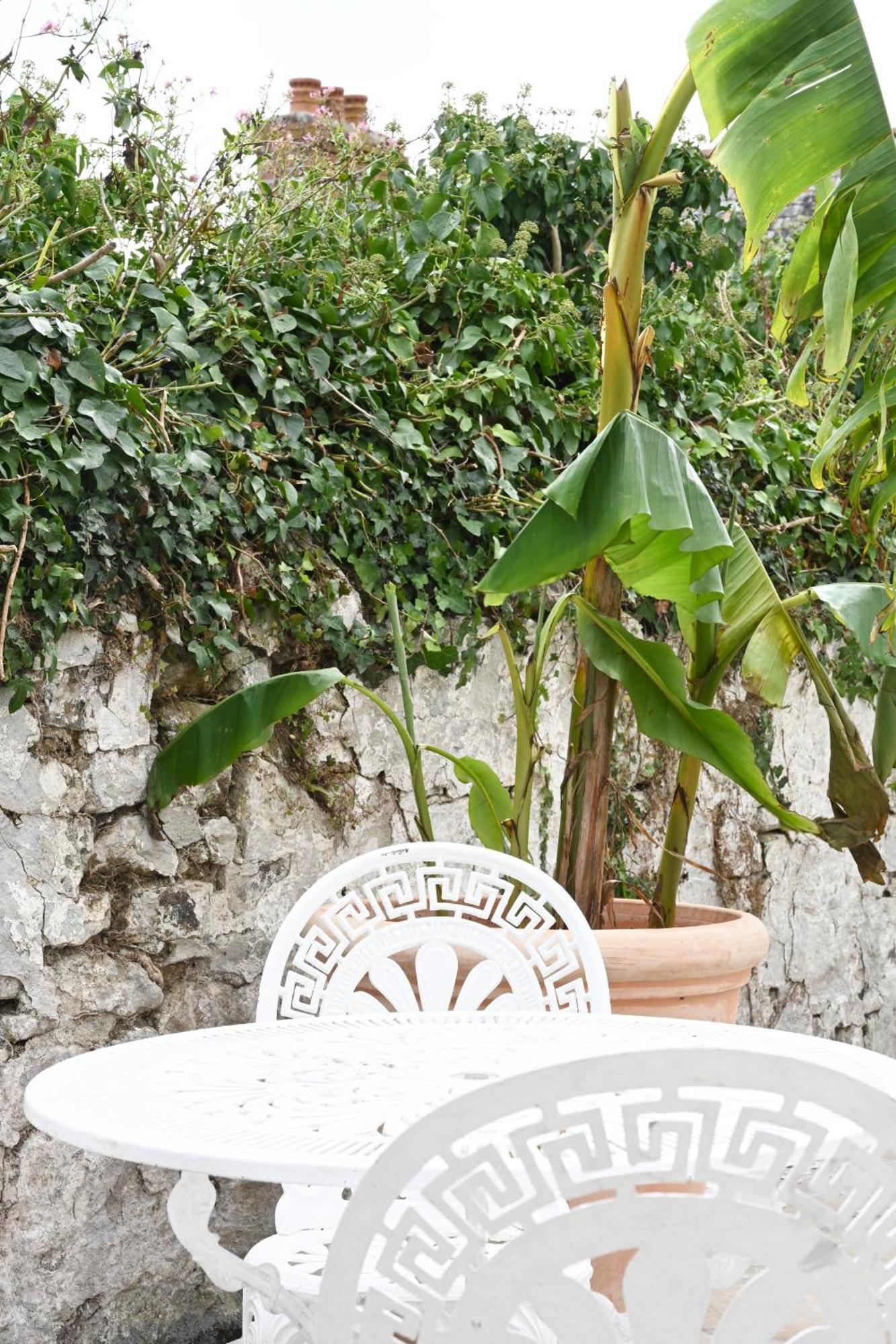 No 30 Historic Georgian Cottage - Newly Renovated For 2024 Hikkaduwa Dış mekan fotoğraf